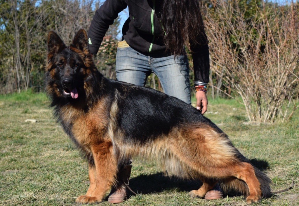 Naska dit nelinda du Barry D'Autan
