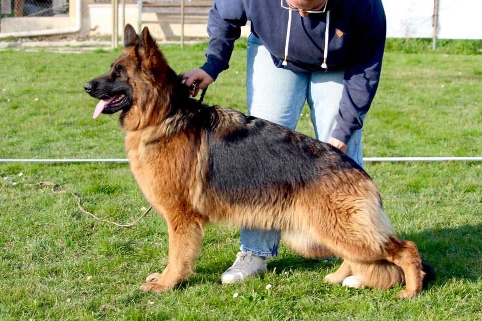 Ushuaia Du Domaine De Brenda