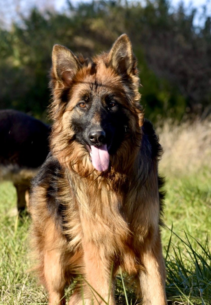 Disponible à la vente 